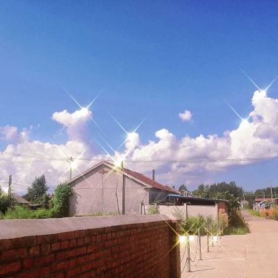汽车城市驾驶模拟器游戏下载