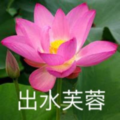 神将屠龙h5游戏下载